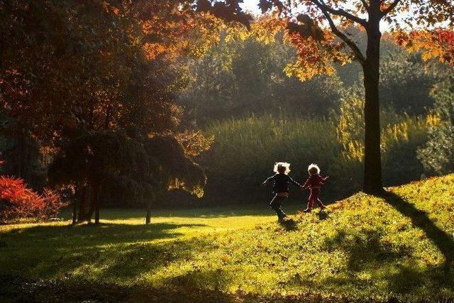 Bursa’nın ‘güz’ Fotoğraflarına Ödül Yağmuru