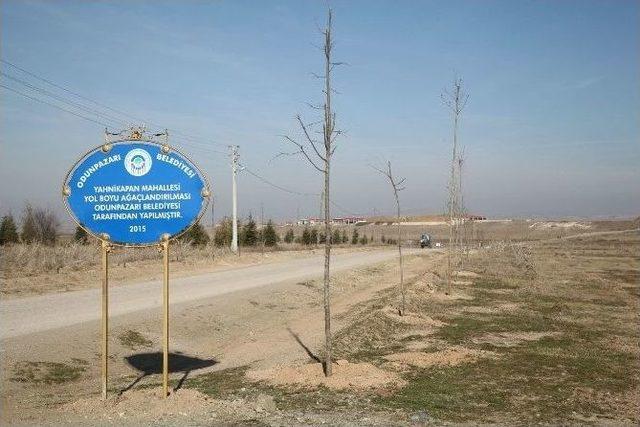 Odunpazarı’ndan Örnek Köy Projesi Çalışmaları