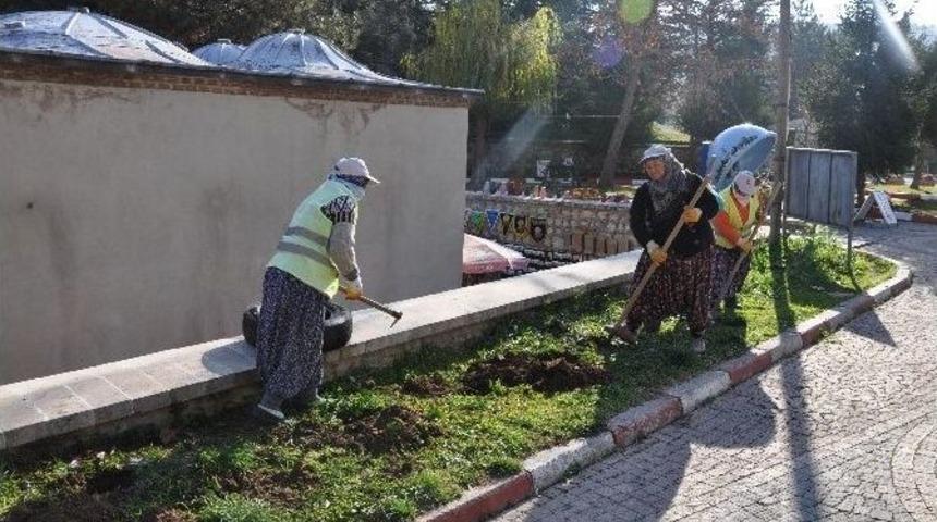 Bilecik, Kış Mevsiminde De Birbirinden G&uuml;zel &Ccedil;i&ccedil;eklerle S&uuml;sleniyor