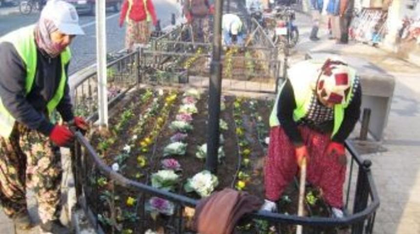 Bayrami&ccedil;&rsquo;e 11 Bin Kış &Ccedil;i&ccedil;eği Dikilecek