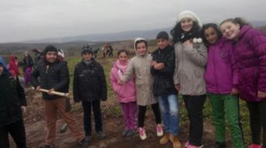 Minikler Fidan Dikti