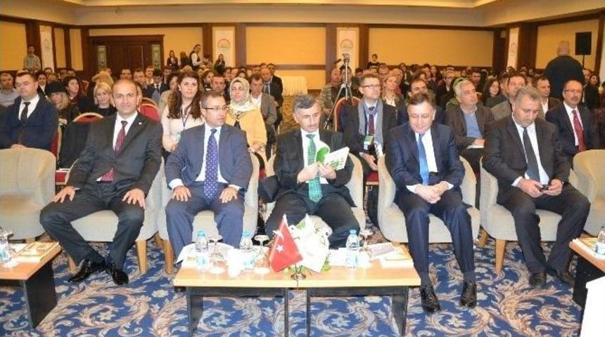 Kalıntı Limitlerinin Araştırılması Projesi Değerlendirildi