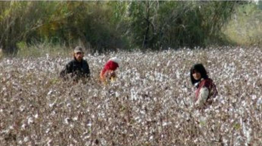 Beyaz Altına Rekor Fiyat