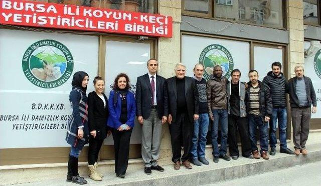 (özel Haber) 12 Milyon Hektar Mera Kuraklıkla Karşı Karşıya