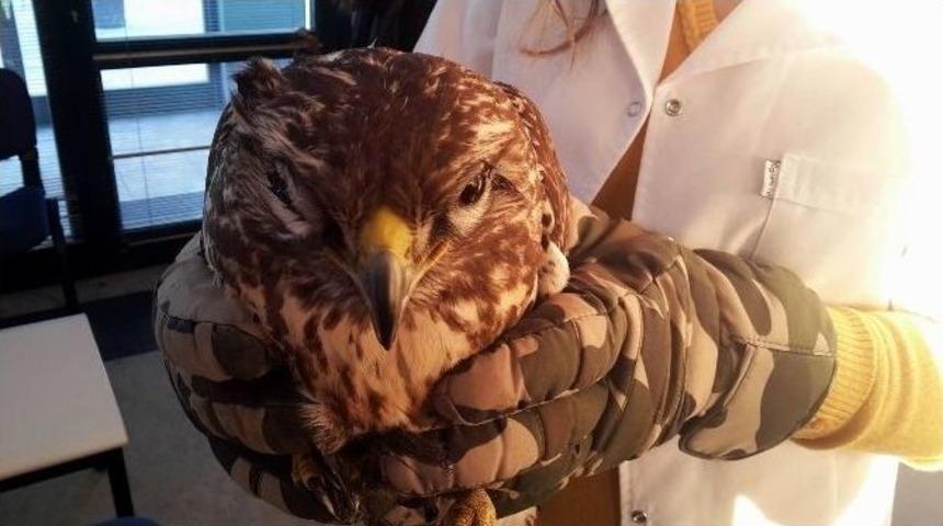 Bursa&rsquo;da Şahin Operasyonu...