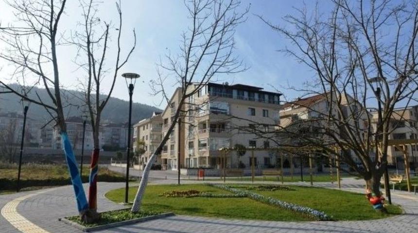 &Uuml;niversiteli Ressamlar Ağa&ccedil;ları Giydirdi