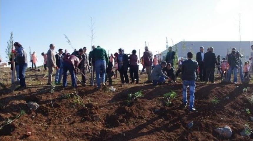 Viranşehir&rsquo;de Ağa&ccedil; Dikme Kampanyası Başlatıldı