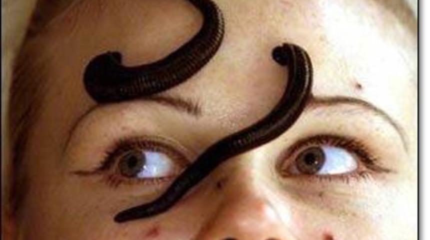 Köpekler kanserin kokusunu alıyor