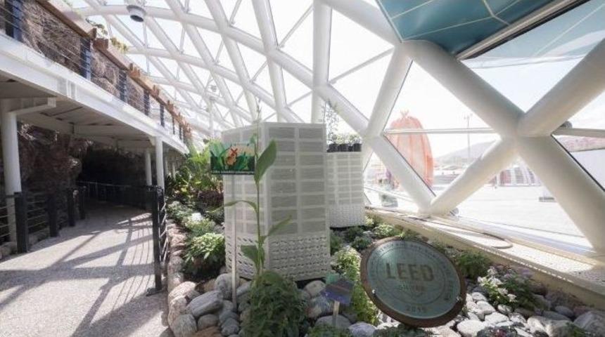 Konya Tropikal Kelebek Bah&ccedil;esine Yoğun İlgi