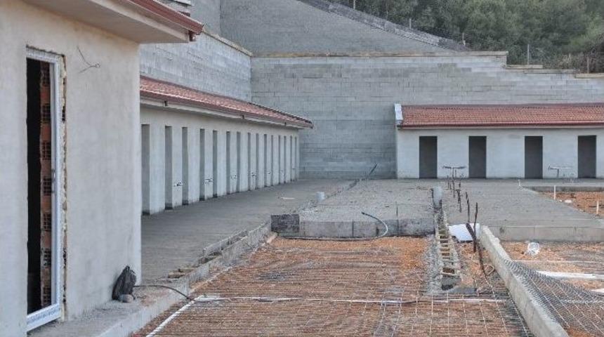 Sokak Hayvanları Tedavi Ve Rehabilitasyon Merkezi 2016&rsquo;nın İlk &Ccedil;eyreğinde Hizmete Giriyor