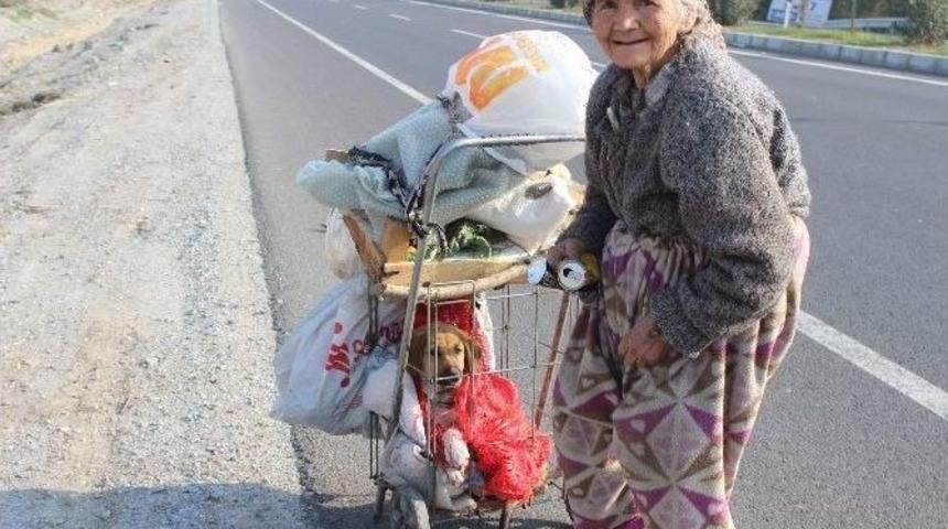 Meliha Ninenin Yaşam Koşulları Ve Hayvan Sevgisi G&ouml;renleri Şaşırtıyor