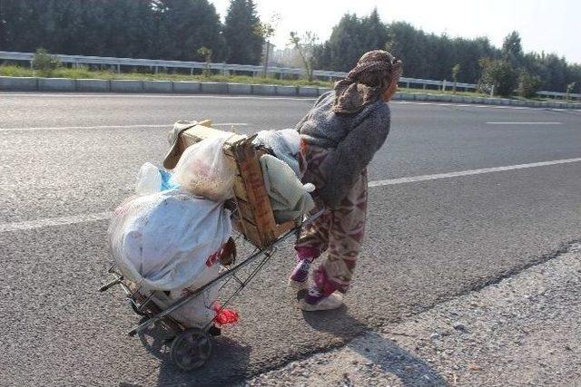 Meliha Ninenin Yaşam Koşulları Ve Hayvan Sevgisi Görenleri Şaşırtıyor