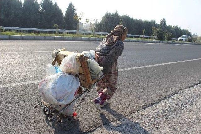 Meliha Ninenin Yaşam Koşulları Ve Hayvan Sevgisi Görenleri Şaşırtıyor