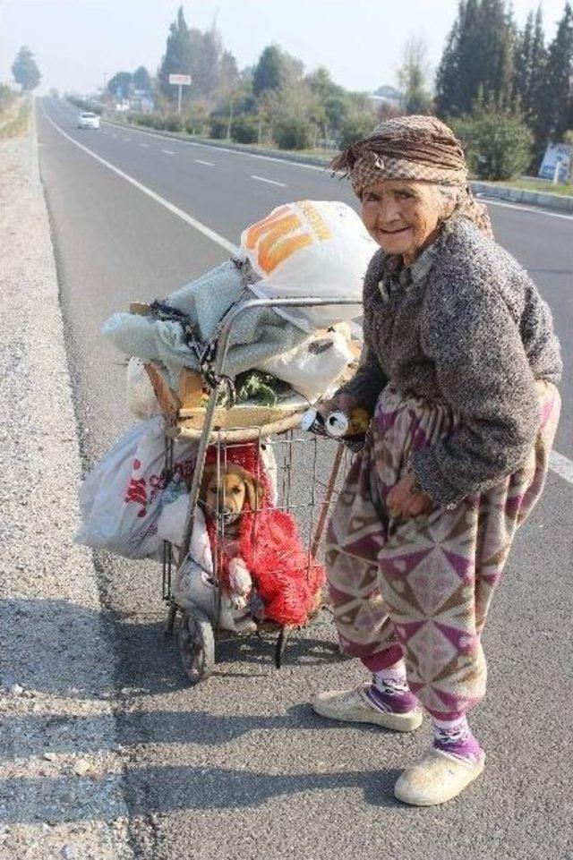 Meliha Ninenin Yaşam Koşulları Ve Hayvan Sevgisi Görenleri Şaşırtıyor