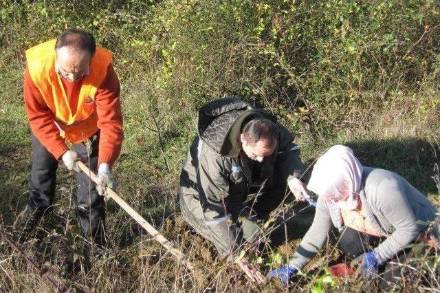 Gölyaka’da Ağaçlandırma Çalışmaları Tamamlandı