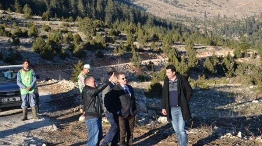 Mersin&rsquo;in Bal Ormanları Artıyor