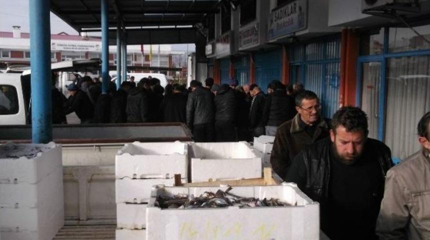 Karadeniz&rsquo;de Hamsi G&ouml;&ccedil;&uuml;n&uuml; Tamamlamak &Uuml;zere