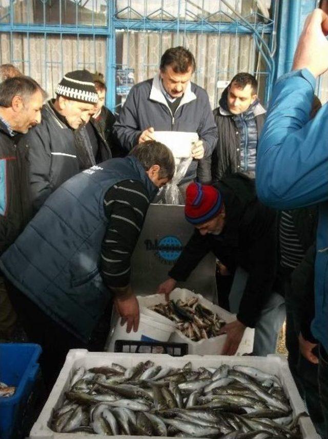 Karadeniz’de Hamsi Göçünü Tamamlamak Üzere