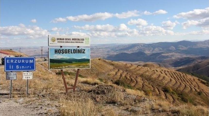Erzurum-aşkale Kop Dağı Ağaçlandırma Çalışmaları Devam Ediyor…