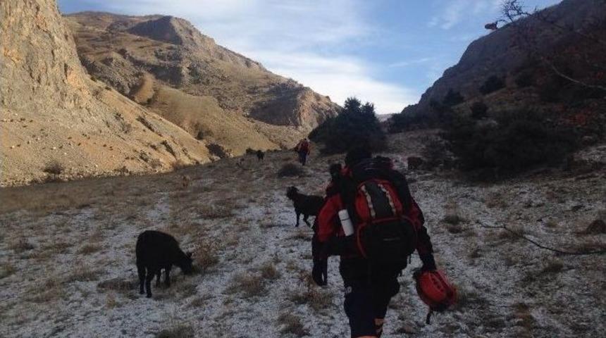 &Ccedil;emişgezek&rsquo;te Mahsur Kalan 8 Ke&ccedil;iyi Afad Ekipleri Kurtardı