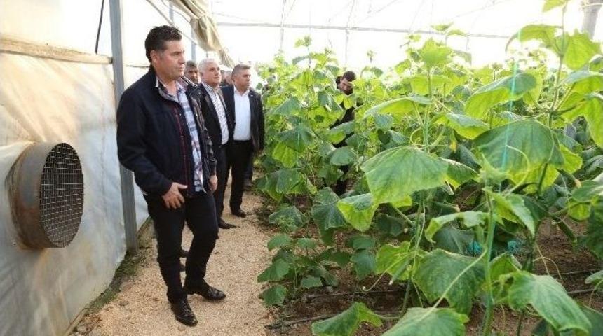 Başkan Kocadon, Yerel &Uuml;reticinin Yanında