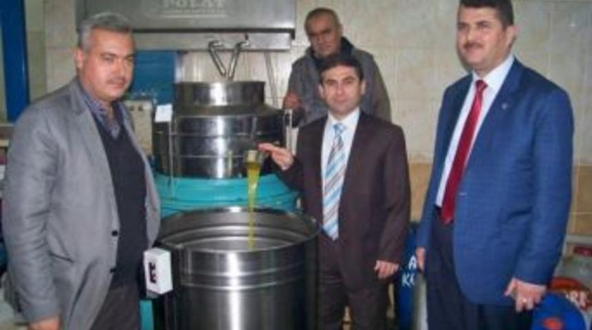 Hassa Zeytincilikte İddialı