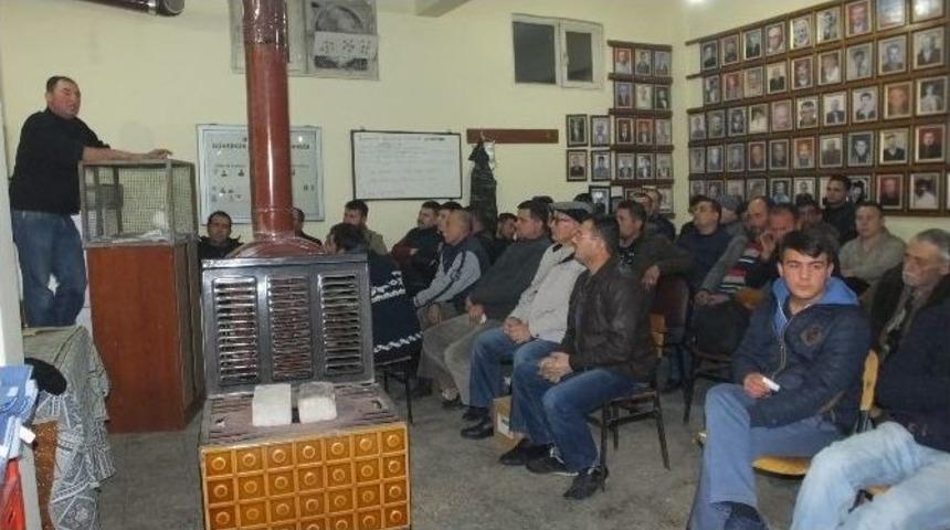 Burhaniye&rsquo;de G&uuml;vercin Mezadı