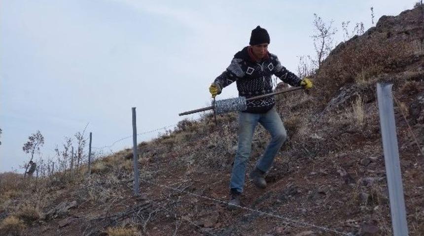 Şotik Havzası&rsquo;na Telli Koruma