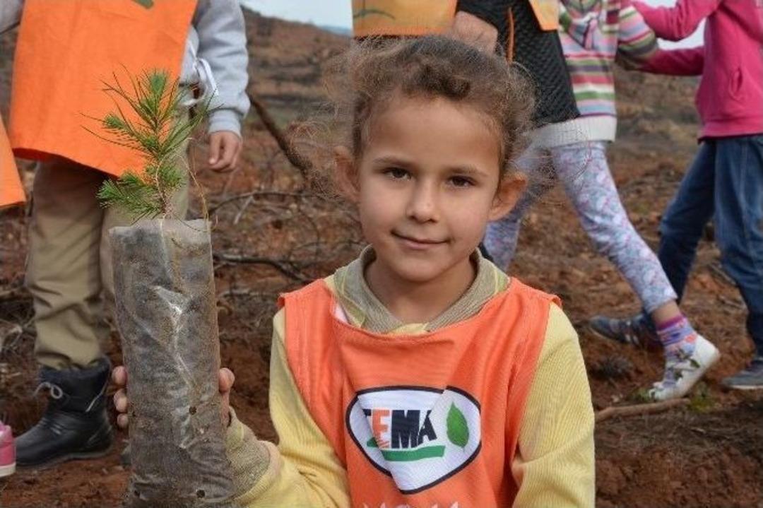 Yanan Ormanlık Alana &Ouml;ğrenciler Fidan Dikti