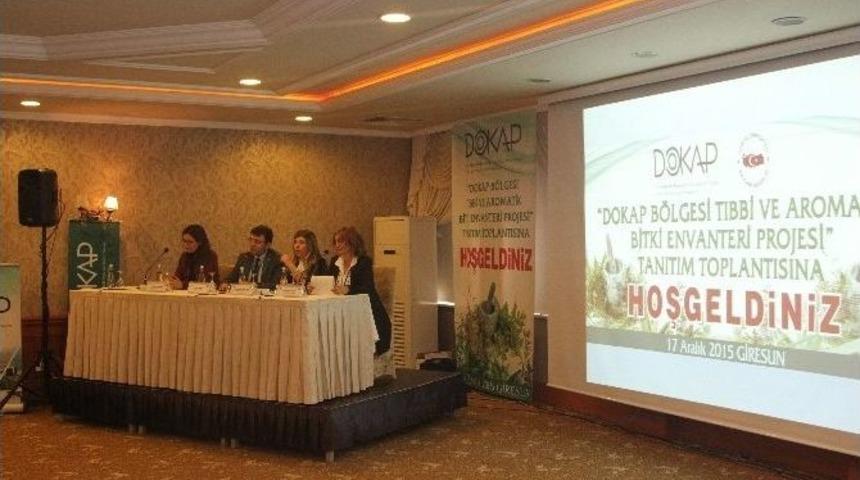 Karadeniz&rsquo;de Tıbbi Ve Aromatik Bitkiler Ek Gelir Kapısı Olacak