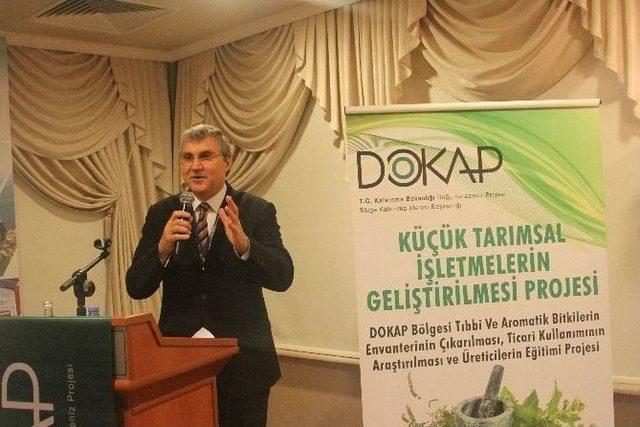 Karadeniz’de Tıbbi Ve Aromatik Bitkiler Ek Gelir Kapısı Olacak