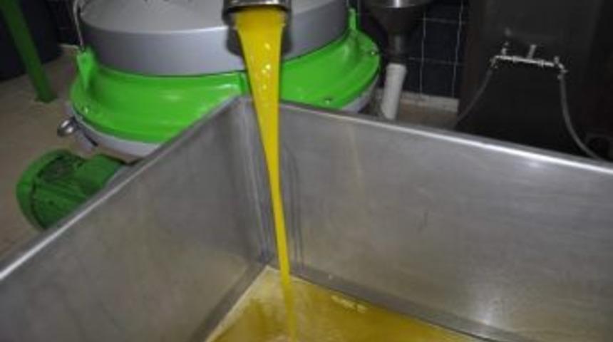 Zeytinyağı Fark Desteği &Ouml;demesi Yapılacak