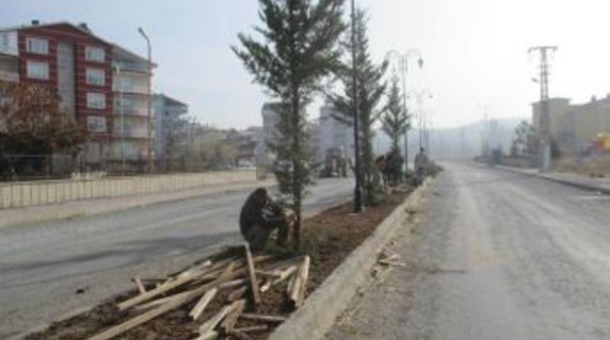 Beyşehir&rsquo;de Yeşillendirme &Ccedil;alışmaları S&uuml;r&uuml;yor