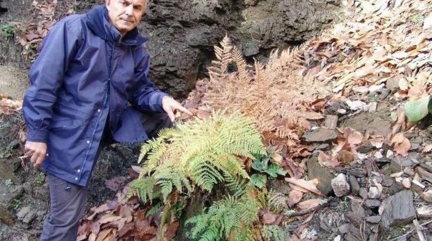 Uzmanlardan Ekosistemle İlgili A&ccedil;ıklama