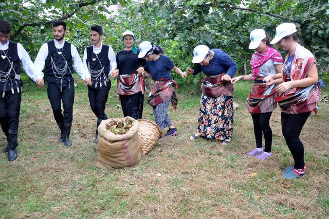 Trabzon'da fındık hasadı horonla başladı