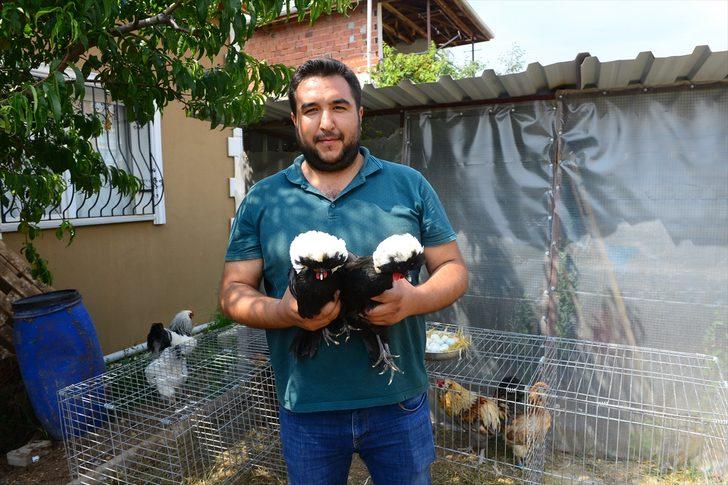 Yumurtası bile pahalı! Fiyatı dudak uçuklatıyor G2