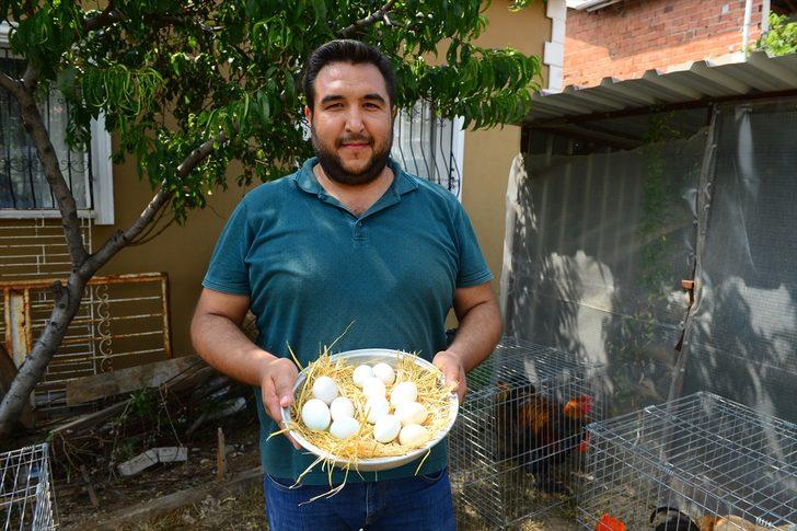 Yumurtası bile pahalı! Fiyatı dudak uçuklatıyor G3