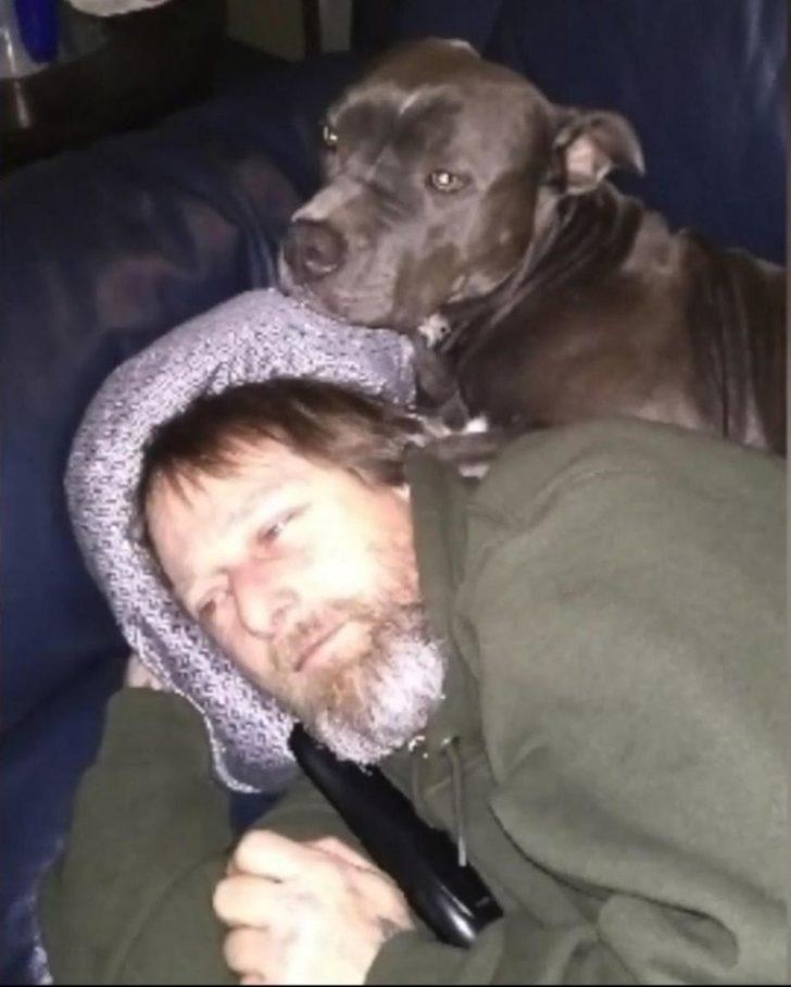 Köpek sevgisi bacaklarından etti! G1