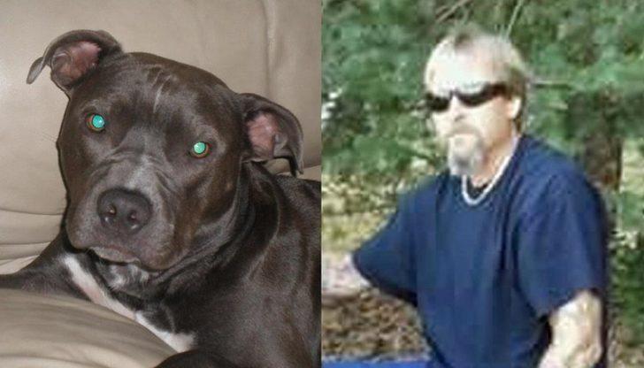 Köpek sevgisi bacaklarından etti! G2