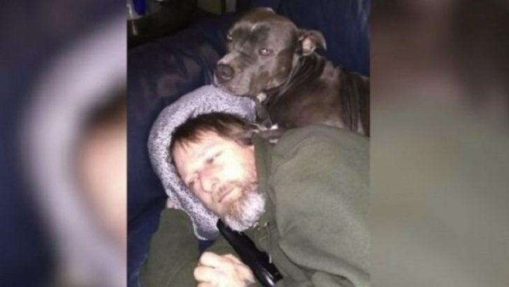 Köpek sevgisi bacaklarından etti! G4