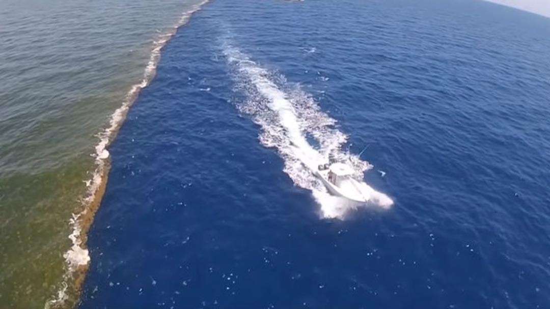 Alaska K&ouml;rfezi'ndeki sır &ccedil;&ouml;z&uuml;ld&uuml;!