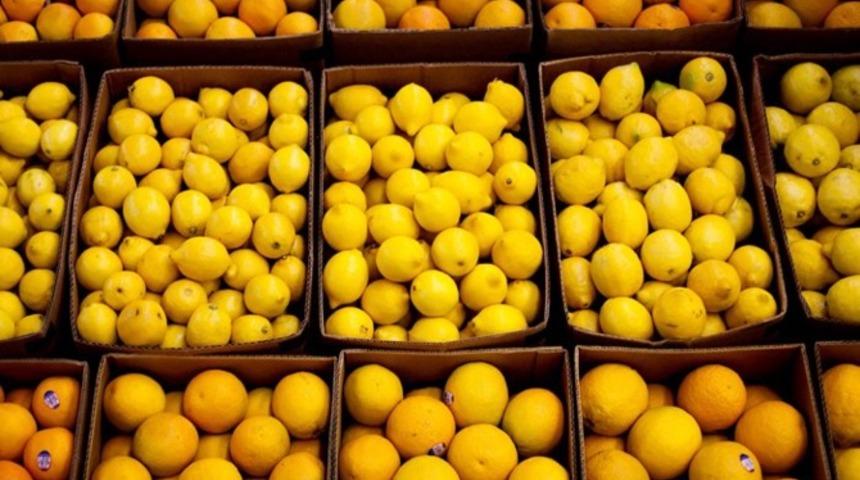 Temmuz ayının zam şampiyonu limon
