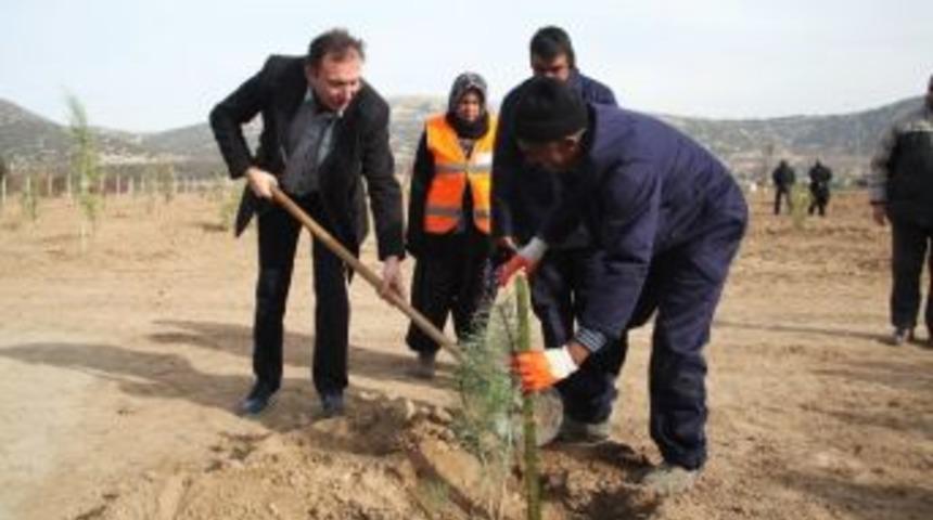 Bilim Ormanının Fidanları Toprakla Buluştu