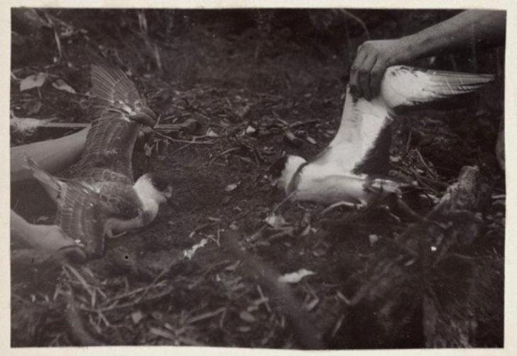 İşten kovulunca soluğu ıssız adada aldı! 35 yıl boyunca... G3