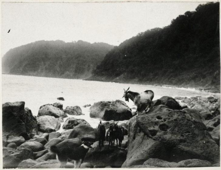 İşten kovulunca soluğu ıssız adada aldı! 35 yıl boyunca... G4