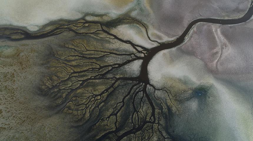 Bu fotoğraf Türkiye'den! 'Flamingo cenneti'nde alarm zilleri çalıyor! 