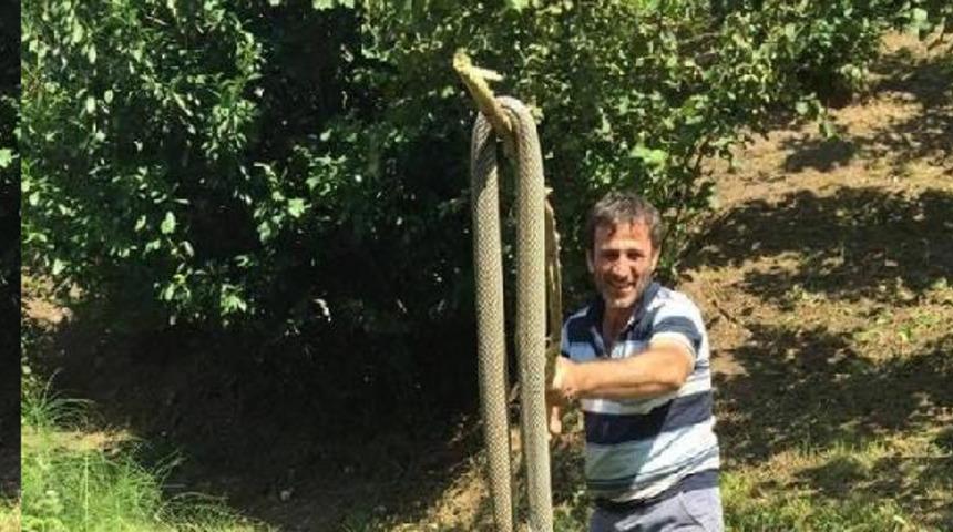Sakarya'da 3 metrelik yılanı görünce şoke oldular