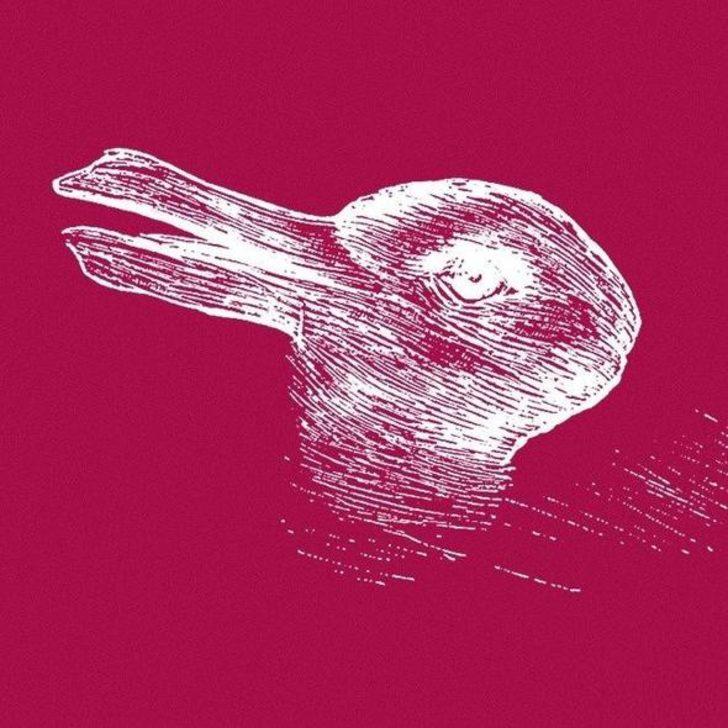 Bu resimde ilk ne gördünüz? Bu test karakterinizi ortaya çıkaracak G4