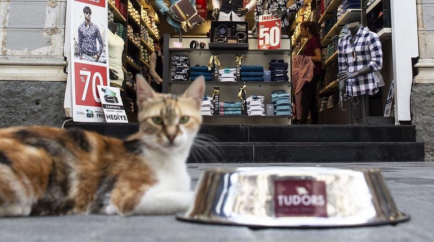 Tudors sokak hayvanları i&ccedil;in harekete ge&ccedil;ti