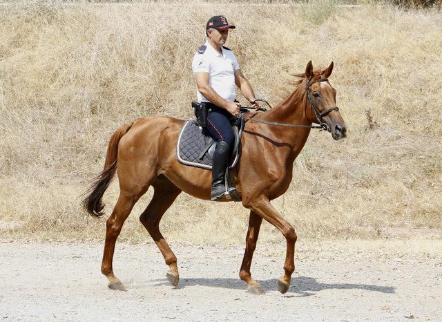 Antalya Emniyeti'nin Kraliçe adlı atı, ikinci emekliliğini bekliyor